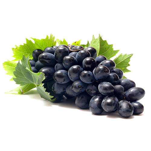 antioxidante para pele Resveratrol